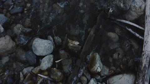 Closeup overhead shot of a stream with audio Stock Footage 124716365
