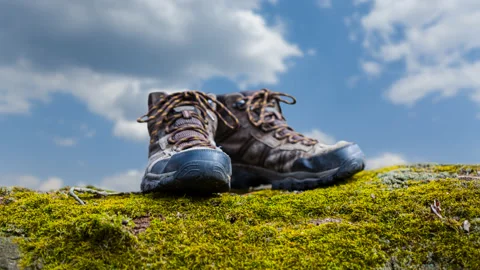 Closeup pair of touristic boot stay on a tree trunk Stock-Footage 194169234