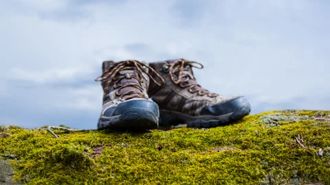 Closeup pair of touristic boot stay on a tree trunk Video stock 246006779