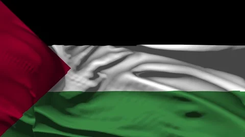 Closeup Palestine Flag Wave Loop waving in wind Realistic Palestine Flag bac Stock Footage 335612012