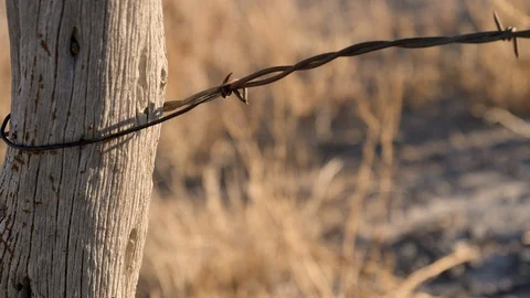 Closeup pan-Barbed wire at sunset Stock Footage 120358434
