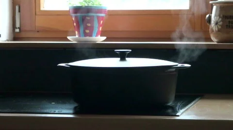 Closeup on a pan Stock Footage 354996