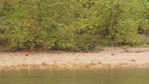Closeup panning of river and river bank Stock Footage 200858532