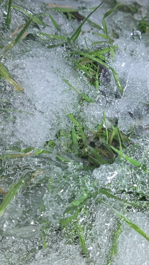 Closeup panorama of iced green grass, concept of transitioning from winter to Stock Footage 338133300