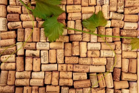 Closeup pattern background of many different wine corks with dates and drops  Stock Photos
