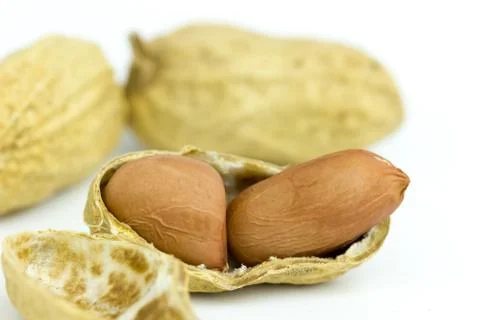 Closeup Peanut seed. Stock Photos