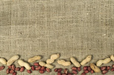 Closeup Peanuts on burlap Foto stock