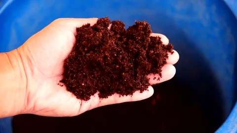 65,700+ Peat Moss For Plants Stock Videos and Royalty-Free Footage