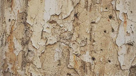 Closeup of peeling paint on wall. Fotos Stock