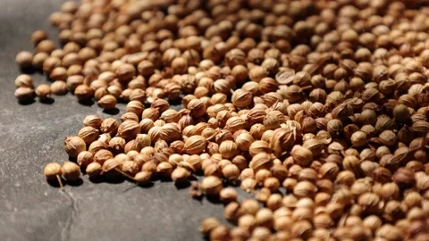 Closeup of peppercorns on backdrop Video stock 302535728