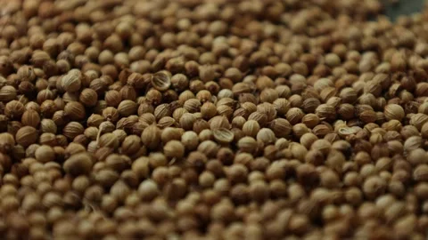 Closeup of peppercorns on backdrop Video stock 302535828