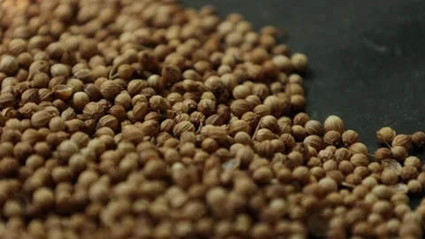 Closeup of peppercorns on backdrop Video stock 302535837
