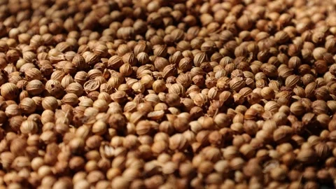 Closeup of peppercorns on backdrop Video stock 302535870
