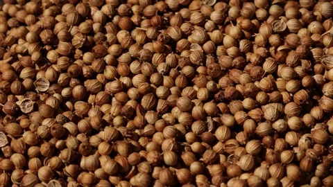 Closeup of peppercorns on backdrop Video stock 302535885