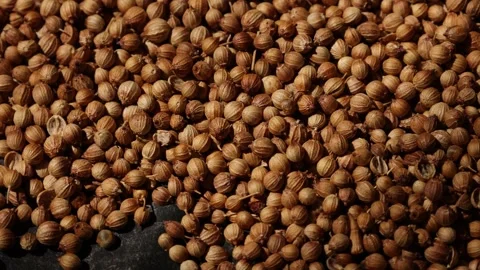 Closeup of peppercorns on backdrop Video stock 302535922