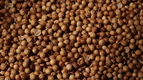 Closeup of peppercorns on backdrop Video stock 302535929