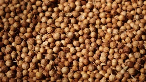 Closeup of peppercorns on backdrop Video stock 302535945