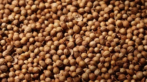Closeup of peppercorns on backdrop Video stock 302536034
