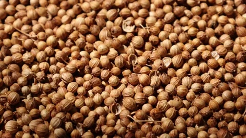 Closeup of peppercorns on backdrop Video stock 302536082