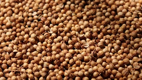 Closeup of peppercorns on backdrop Stock Footage 302536086