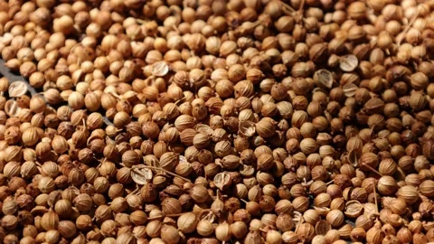 Closeup of peppercorns on backdrop Video stock 302536087
