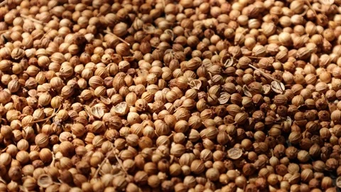 Closeup of peppercorns on backdrop Video stock 302536138