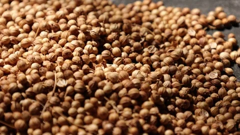 Closeup of a peppercorns Video stock 302536166