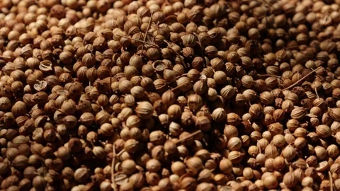Closeup of a peppercorns Video stock 302536238