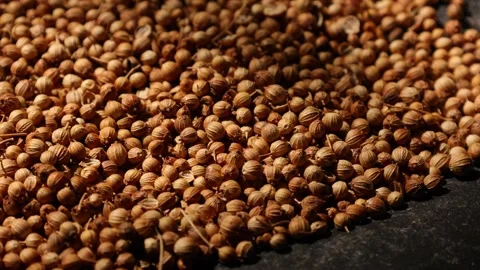 Closeup of a peppercorns Video stock 302536255