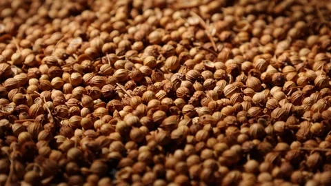 Closeup of a peppercorns Video stock 302536266