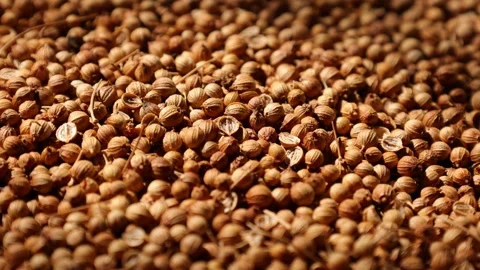 Closeup of a peppercorns Video stock 302536300