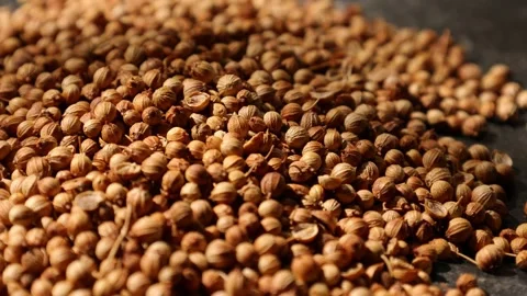 Closeup of a peppercorns Video stock 302536329