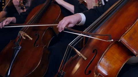 Closeup of performers playing cello in symphony orchestra Video stock 196934477