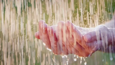 Closeup of a person's palms taking water from a rain shot in slow motion Stock Footage 270407990