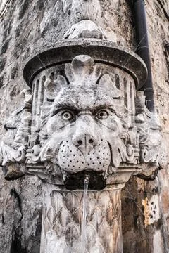 Closeup photograph of an old historic water fountain creature caricature face Stock Photos