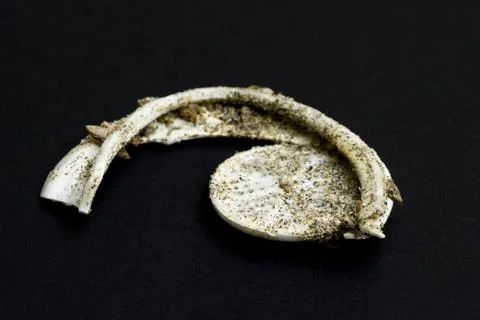 Closeup of a piece of a former plastic toy found as litter in the sea, with s Stock Photos