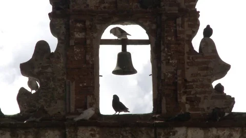 Closeup of pigeons on old bell tower Video stock 75240501