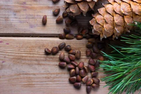 Closeup of pignolia nut Stock Photos