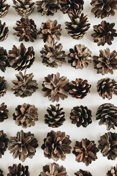 Closeup of pine cones pattern. Flat lay, top view winter composition. Stock Photos