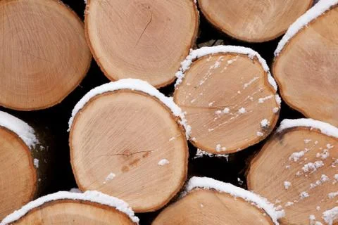 Closeup of pine logs Stock Photos