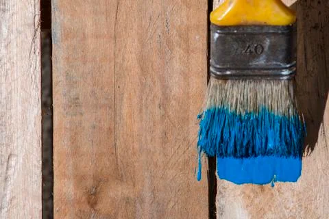 Closeup Of Pine Plank Being Painted In Blue Color Stock Photos