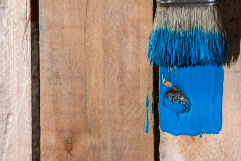Closeup Of Pine Plank Being Painted In Blue Color Stock Photos