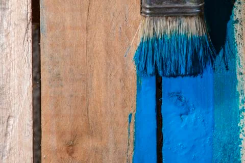 Closeup Of Pine Plank Being Painted In Blue Color Stock Photos