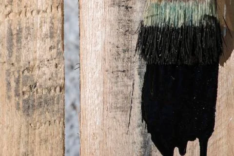 Closeup Of Pine Plank Being Painted In Black Color Stock Photos