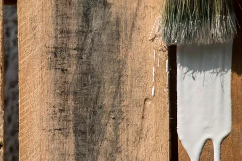 Closeup Of Pine Plank Being Painted In White Color Stock Photos