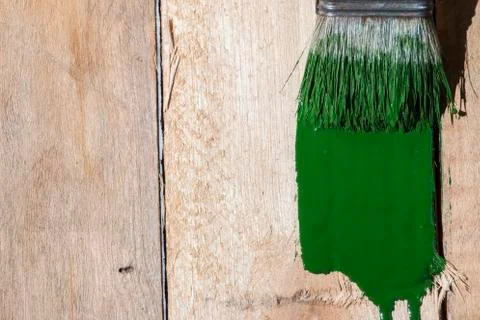 Closeup Of Pine Plank Being Painted In Green Color Stock Photos