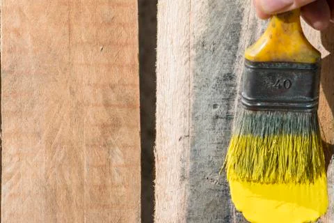 Closeup Of Pine Plank Being Painted In Yellow Color Stock Photos