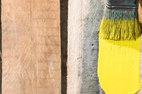 Closeup Of Pine Plank Being Painted In Yellow Color Stock Photos