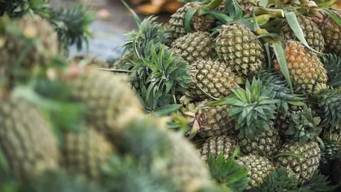 Closeup of pineapple Stock Footage 126230450