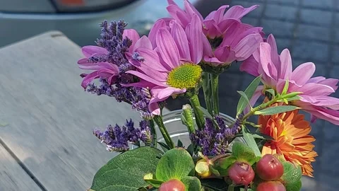 Closeup of pink flowers with changing light Stock Footage 172384290